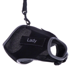 Trixie Harnais + Laisse XCat